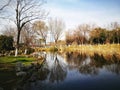 peaceful lake with blue sky and white clouds of a park in Wuhan city china