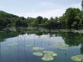 Peaceful lake with clouds and trees reflected in water Royalty Free Stock Photo