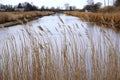 Peaceful lake in early spring Royalty Free Stock Photo