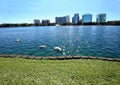 Peaceful Lake Eola Park in downtown Orlando, Florida Royalty Free Stock Photo