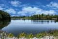 Peaceful lake in green spring summer Royalty Free Stock Photo