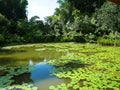 Peaceful Lake