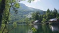 A peaceful lakeside scene bathed in sunshine surrounded by towering trees. But as the eye travels up the mountain in the