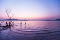 A peaceful lakeside at sunset, beautiful gently waves and leafless tree trunks. Mountains, lighting and twilight sky blurred