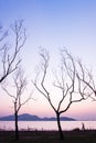 A peaceful lakeside at sunset, unidentified male walking in the lined of leafless tree trunks. Abstract shape of branches of trees