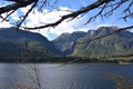 Peaceful lakeside surrounded by trees and mountains with branches in the foreground