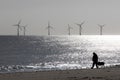 Peaceful landscape image. Lonely person dog walker. Mans best friend