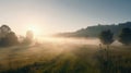 Sunrise over the foggy meadow.