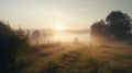 Sunrise over the foggy meadow.