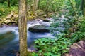 Peaceful Little Stony Creek, Jefferson National Forest, USA