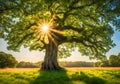 Peaceful magical ancient tree in a field.