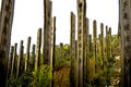 Peaceful meditation area on Lantau island