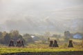 Peaceful misty landscape, rural autumn panorama. Dry corn stalks golden sheaves in empty grassy field after harvest, peasant