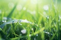 Peaceful morning dew on grass self care background