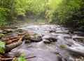 Outdoorsman Fly Fishing in a Peaceful Forest Mountain River