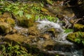 Peaceful Mountain Stream in the Blue Ridge Mountains Royalty Free Stock Photo