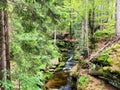 Peaceful mountain stream flows through lush forest. Great for backgrounds, covers Royalty Free Stock Photo