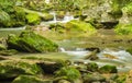 Peaceful Mountain Trout Stream Royalty Free Stock Photo