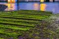 Peaceful nature background of wooden planks covered in moss, water landscape scenery Royalty Free Stock Photo