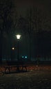 Peaceful night view of illuminated urban park with empty bench and glowing lights Royalty Free Stock Photo