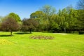 Peaceful park Royalty Free Stock Photo