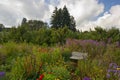 A peaceful park bench in a flower garden