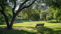 A peaceful park with a bench tucked away under a shady tree offering a serene spot for reading and unwinding before