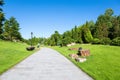 Peaceful park in the morning Royalty Free Stock Photo