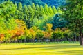 Peaceful Park at Nami Island, South Korea