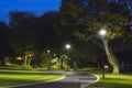 Peaceful Park in the Night with Street Lights, Trees, Green Grass and Pathway. Royalty Free Stock Photo