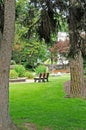 Peaceful park setting Royalty Free Stock Photo