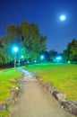 Peaceful park under the moonlight