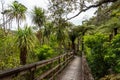 Peaceful path to Kaitoke Hot Springs on Great Barrier Island Royalty Free Stock Photo