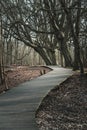 Peaceful path winding its way through a picturesque autumn park of bare trees Royalty Free Stock Photo