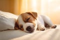 A Jack Russell Terrier puppy peacefully sleeping on a crisp, white bed. AI Generated