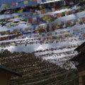 Prayer Flag gives a sense of Peace & Happiness from the different color of flags.