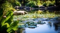 Peaceful pond adorned with lily pads