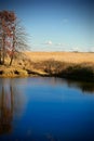 Peaceful Pond