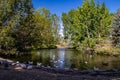 Peaceful pond in centre of town. Coledale, Alberta, Canada Royalty Free Stock Photo