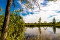 Peaceful pond in centre of town. Coledale, Alberta, Canada Royalty Free Stock Photo