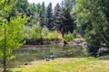 Peaceful pond in centre of town. Coledale, Alberta, Canada Royalty Free Stock Photo
