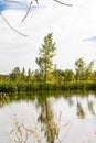 Peaceful pond in centre of town. Coledale, Alberta, Canada Royalty Free Stock Photo