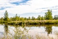 Peaceful pond in centre of town. Coledale, Alberta, Canada Royalty Free Stock Photo