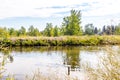 Peaceful pond in centre of town. Coledale, Alberta, Canada Royalty Free Stock Photo