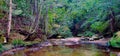 Peaceful pool at top of rainbow waterfall on Clover Hill trail at Macquarie Pass, NSW, Australia