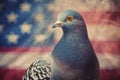 Peaceful Portrait Pigeon Dove with American Flag Background. Generative AI Royalty Free Stock Photo