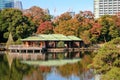 Peaceful, quiet, colorful Shinjuku park, Japan