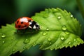 Peaceful Red ladybug green leaf nature. Generate Ai Royalty Free Stock Photo