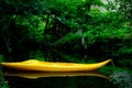 Peaceful Reflection of Nature While Canoeing.