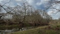 Peaceful Marshland Landscape, Winter Gloomy Day